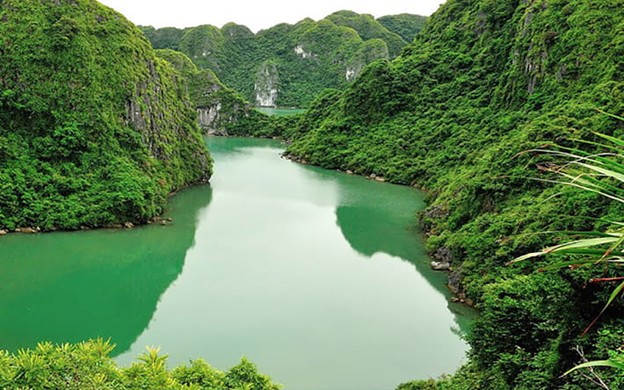 แหล่งที่มาของรูปภาพ: vuonquocgiacatba.com.vn
