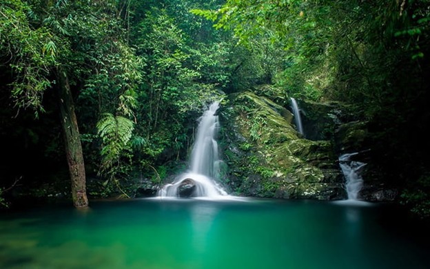 6 อุทยานแห่งชาติที่ดีที่สุดในเวียดนาม