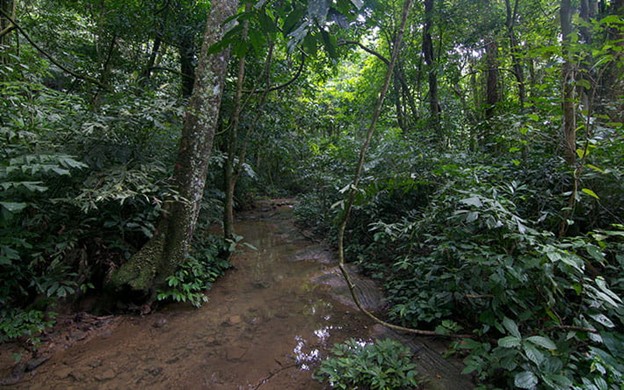 แหล่งที่มาของรูปภาพ: commons.wikimedia.org